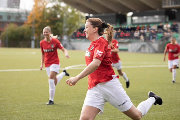 的财务支持 的财务支持