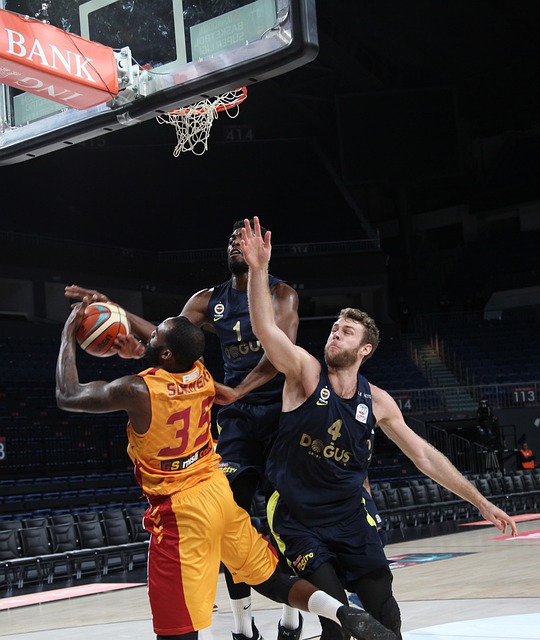 链接或已知 链接或已知